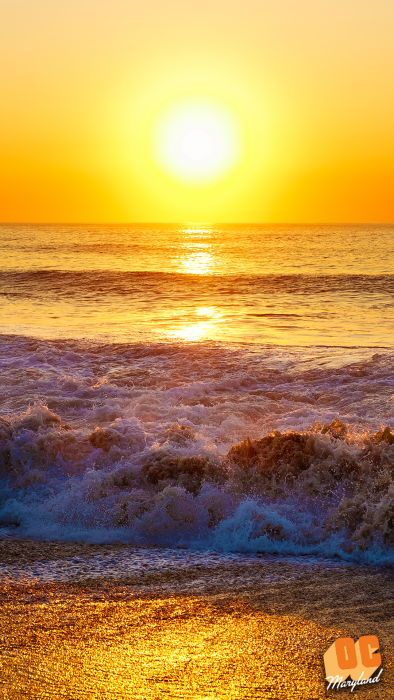 الشمس الساطعة وأشعتها الذهبية تعلو مياه البحر الذهبي - صورة الشمس الساطعة وأشعتها الذهبية تعلو مياه البحر الذهبي