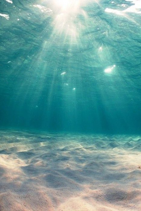 رؤية أشعة الشمس من تحت مياه البحر الصافية الشفافه - صورة رؤية أشعة الشمس من تحت مياه البحر الصافية الشفافه