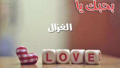 بحبك يا الغزال 390x220 - صور بحبك يا الغزال