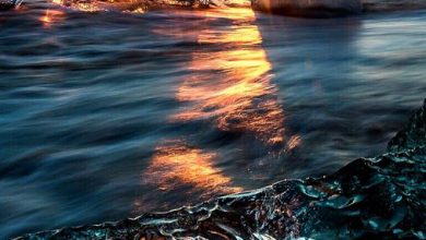 أشعة الشمس الذهبية فوق صفحات مياه البحر الشفافه وصخورها 390x220 - صورة أشعة الشمس الذهبية فوق صفحات مياه البحر الشفافه وصخورها
