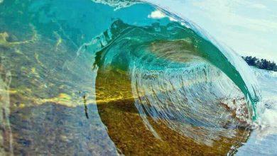 أمواج البحر الشفافه مرآه تعكس صورة الشاطئ الرملي 390x220 - صورة أمواج البحر الشفافه مرآه تعكس صورة الشاطئ الرملي