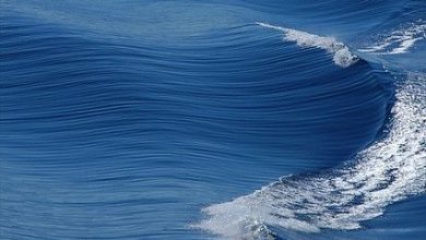 أمواج البحر تتمايل متجاورة في صورة فنية مبدعه 390x220 - صورة أمواج البحر تتمايل متجاورة في صورة فنية مبدعه
