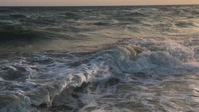 البحر الرمادي الشفاف مع الغروب 390x220 - صورة البحر الرمادي الشفاف مع الغروب