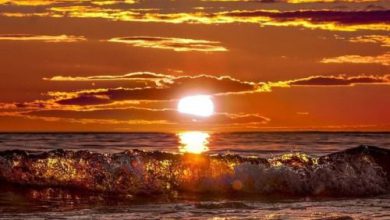 السحب الذهبية المضيئه أمام شمس الغروب فوق مياه البحر الذهبية الشفافه 390x220 - صورة السحب الذهبية المضيئه أمام شمس الغروب فوق مياه البحر الذهبية الشفافه