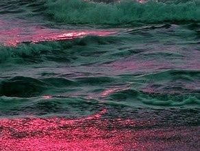 السماء وردية اللون يتوسطها القمر فوق البحر والشاطئ وردي اللون 292x220 - صورة السماء وردية اللون يتوسطها القمر فوق البحر والشاطئ وردي اللون