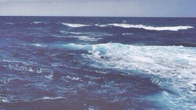 بداية العاصفه بعد السكون في البحر 390x220 - صورة بداية العاصفه بعد السكون في البحر