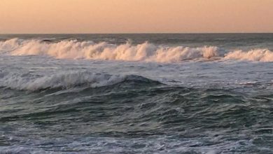 تدافع الأمواج السريعه نحو الشاطئ 390x220 - صورة تدافع الأمواج السريعه نحو الشاطئ