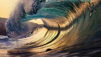 دوران الأمواج العالية الشفافة اللامعة وفوران مياه البحر 390x220 - صورة دوران الأمواج العالية الشفافة اللامعة وفوران مياه البحر