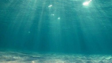 رؤية أشعة الشمس من تحت مياه البحر الصافية الشفافه 390x220 - صورة رؤية أشعة الشمس من تحت مياه البحر الصافية الشفافه