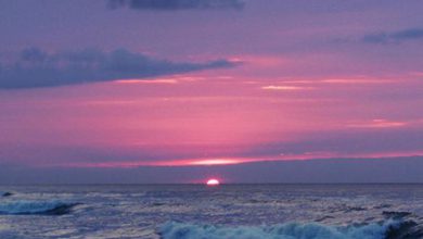 رحيل الشمس فوق وجه البحر 390x220 - صورة رحيل الشمس فوق وجه البحر