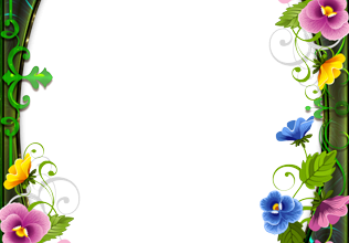 زهور الحب والقلوب الرقيقة فريم للصور 316x220 - صورة زهور الحب والقلوب الرقيقة فريم للصور
