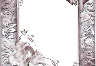 زهور رومانسية فريم للصور 320x220 - صورة زهور رومانسية فريم للصور