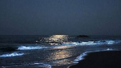 شاطئ البحر الأسود ليلا تحت ضوء القمر 390x220 - صورة شاطئ البحر الأسود ليلا تحت ضوء القمر