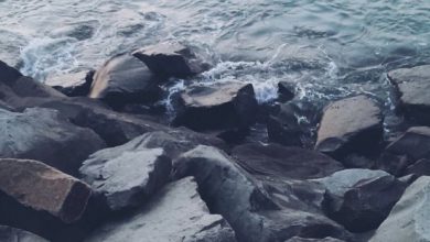 شاطئ صخري وأمواج ترتطم بالصخور السوداء القاسية 390x220 - صورة شاطئ صخري وأمواج ترتطم بالصخور السوداء القاسية