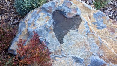 شكل قلب مطبوع على الصخرة 390x220 - صورة شكل قلب مطبوع على الصخرة