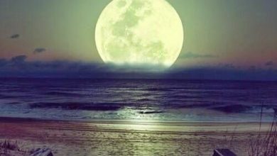 قرص القمر الكامل الضخم يسقط فوق صفحات مياه البحر ليلا 390x220 - صورة قرص القمر الكامل الضخم يسقط فوق صفحات مياه البحر ليلا