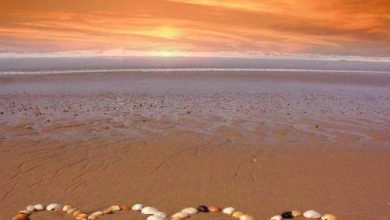 قلوب رومانسية على شاطئ البحر 390x220 - صورة قلوب رومانسية على شاطئ البحر