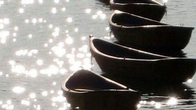 قوارب خشبية صغيرة فوق مياه مضيئه كأنها حبات اللؤلؤ 390x220 - صورة قوارب خشبية صغيرة فوق مياه مضيئه كأنها حبات اللؤلؤ