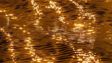 مياه البحر كخيوط من الذهب اللامع 390x220 - صورة مياه البحر كخيوط من الذهب اللامع