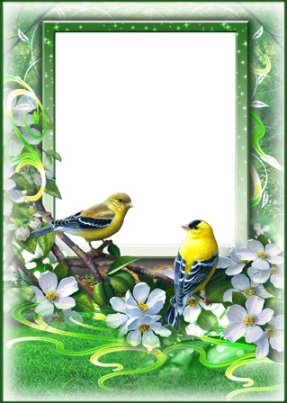 للصور اجمل عصافير الحب والربيع - فريمات للصور اجمل عصافير الحب والربيع