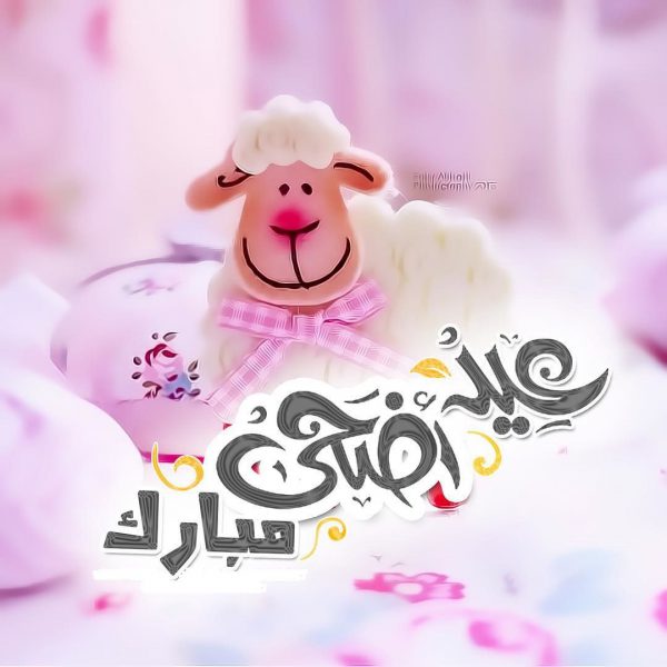 عيد أضحي مبارك أجمل خروف عيد - صور عيد أضحي مبارك أجمل خروف عيد