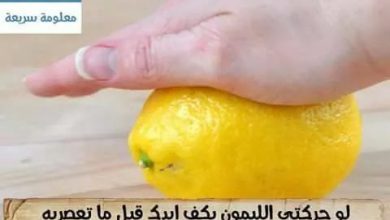 وصفات اكل دلكي الليمون قبل العصير 390x220 - صور وصفات اكل دلكي الليمون قبل العصير