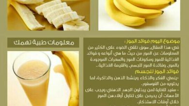 وصفات اكل فوائد الموز للجسم 390x220 - صور وصفات اكل فوائد الموز للجسم