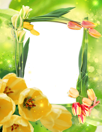 للصور اجمل زهور التيوليب لكل حبيب - فريمات للصور اجمل زهور التيوليب لكل حبيب