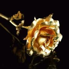 الزهرة الذهبىية - صورة الزهرة الذهبىية