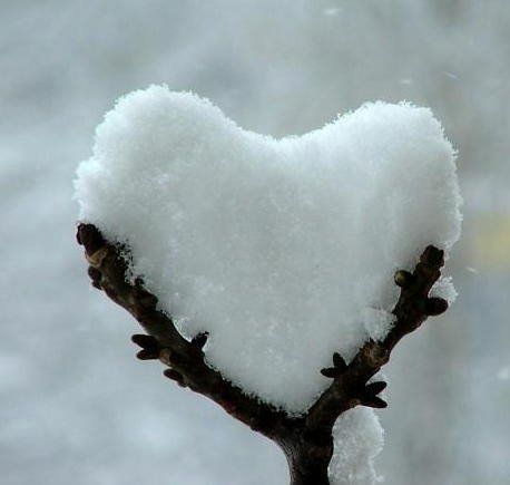 انت قلبك قاسى قلب من الثلج البارد - صورة انت قلبك قاسى قلب من الثلج البارد