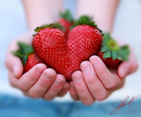 صورة حبوب فراولة على شكل احمر رومانسى جميل - صورة حبوب فراولة على شكل احمر رومانسى جميل