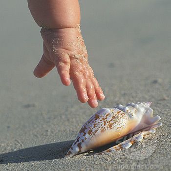 طفل صغير يمسك صدفة جميلة علي رمل شاطئ البحر - صورة طفل صغير يمسك صدفة جميلة علي رمل شاطئ البحر