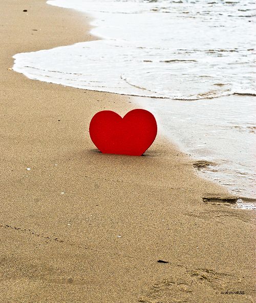قلب احمر على شاطئ البحر الرومانسى - صورة قلب احمر على شاطئ البحر الرومانسى
