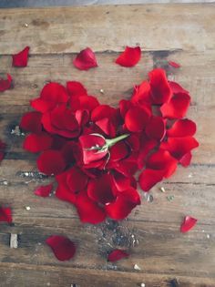 صورة قلب احمر من بتول الورد الاحمر - صورة قلب احمر من بتول الورد الاحمر