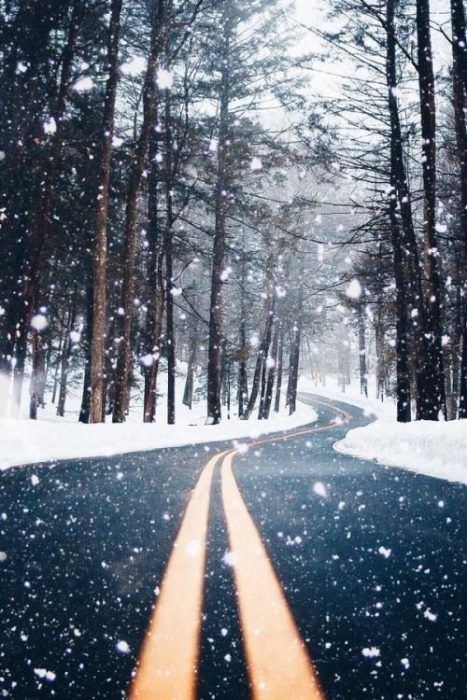 صور طبيعية طريق يتساقط عليه ثلوج فى فصل الشتاء - صور طبيعية طريق يتساقط عليه ثلوج فى فصل الشتاء