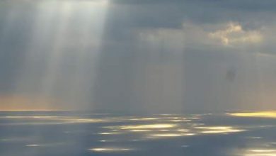 صور الطبيعة ضوء الشمس يرسم دوائر ضوئية جميلة على البحر 390x220 - صور الطبيعة ضوء الشمس يرسم دوائر ضوئية جميلة على البحر