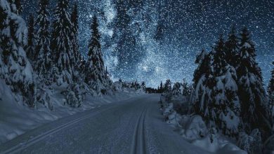الطبيعة طريق وسط الثلوج وسماء مليئة بالنجوم 390x220 - صور الطبيعة طريق وسط الثلوج وسماء مليئة بالنجوم