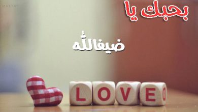 بحبك يا ضيفالله 390x220 - صور بحبك يا ضيفالله