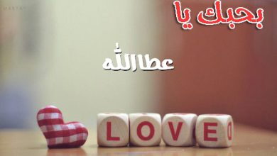 بحبك يا عطاالله 390x220 - صور بحبك يا عطاالله