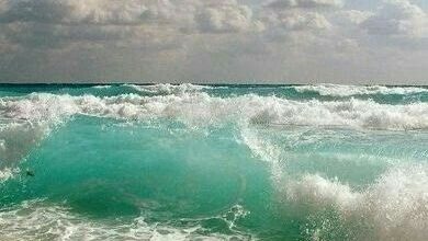 صور طبيعية امواج البحر الجميلة 390x220 - صور طبيعية امواج البحر الجميلة