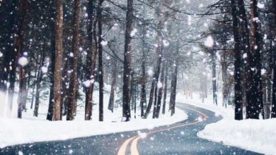 صور طبيعية طريق يتساقط عليه ثلوج فى فصل الشتاء 390x220 - صور طبيعية طريق يتساقط عليه ثلوج فى فصل الشتاء