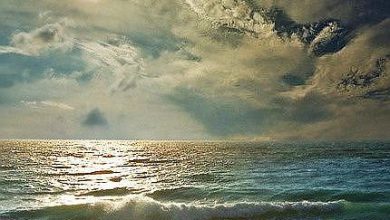 أجمل غروب للشمس فوق أمواج البحر المتدفقه نحو الشاطئ 390x220 - صورة أجمل غروب للشمس فوق أمواج البحر المتدفقه نحو الشاطئ