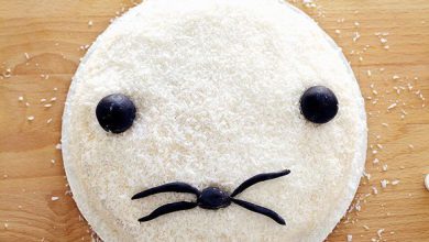 صورة أجمل كعكة لذيذة وبسيطة للأطفال بيضاء علي شكل قطة 390x220 - صورة أجمل كعكة لذيذة وبسيطة للأطفال بيضاء علي شكل قطة