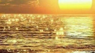 أجمل منظر للغروب وقد حولت الشمس الذهبية قطرات مياه البحر الي حبات لؤلؤ رائعة الجمال 390x220 - صورة أجمل منظر للغروب وقد حولت الشمس الذهبية قطرات مياه البحر الي حبات لؤلؤ رائعة الجمال