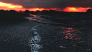 أجمل وأرق غروب الشمس خلف امواج الشاطئ الهادئه 390x220 - صورة أجمل وأرق غروب الشمس خلف امواج الشاطئ الهادئه