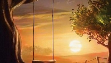 أجمل وأرق منظر للغروب وأرجوحة معلقة علي شجرة امام قرص الشمس المضئ الراحل 390x220 - صورة أجمل وأرق منظر للغروب وأرجوحة معلقة علي شجرة امام قرص الشمس المضئ الراحل