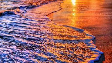 أشعة الشمس تغطي الشاطئ الملي وقت الغروب 390x220 - صورة أشعة الشمس تغطي الشاطئ الملي وقت الغروب