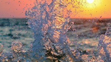 أمواج البحر الامعة تتراقص أمام قرص الشمس في اجمل منظر للغروب 390x220 - صورة أمواج البحر الامعة تتراقص أمام قرص الشمس في اجمل منظر للغروب