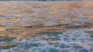 صورة أمواج البحر البيضاء الهادئه 390x220 - صورة أمواج البحر البيضاء الهادئه