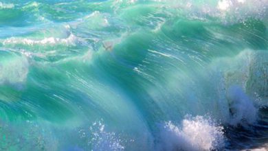 أمواج البحر الجميلة ترتطم بالشاطئ 390x220 - صورة أمواج البحر الجميلة ترتطم بالشاطئ